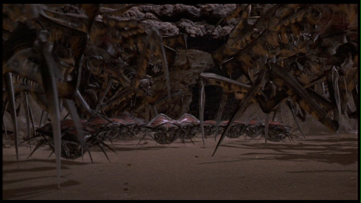 ▷ Que son los ARÁCNIDOS DE STARSHIP TROOPERS