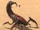 Ravager Bug