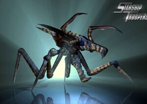 arachnid starship troopers