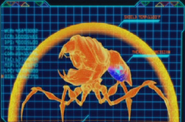 Thermal scan of a Blaster Bug, showing a significant drop in ventral abdomen temperature.