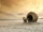 Escape pod
