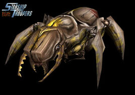 Bug rhino