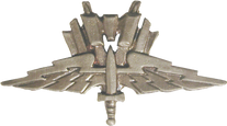 Mobile Infantry Pin (films)