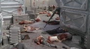 Dead massacred by the Bugs