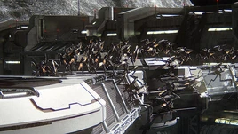 Bugs engaging the outpost