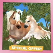 Скриншот, который представлял акцию на . Здесь представлен хафлингер и жеребёнок этой же породы.