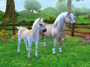 Светлая масть (Star Stable Horses)