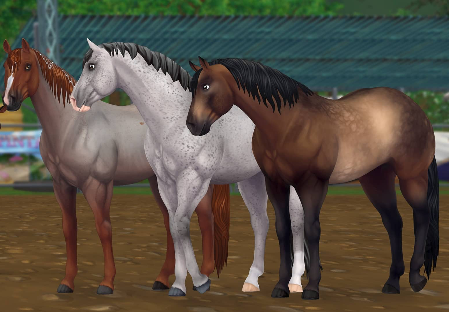 Американский кватерхорс | Star Stable Online вики | Fandom