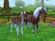 Гнедая масть (Star Stable Horses)