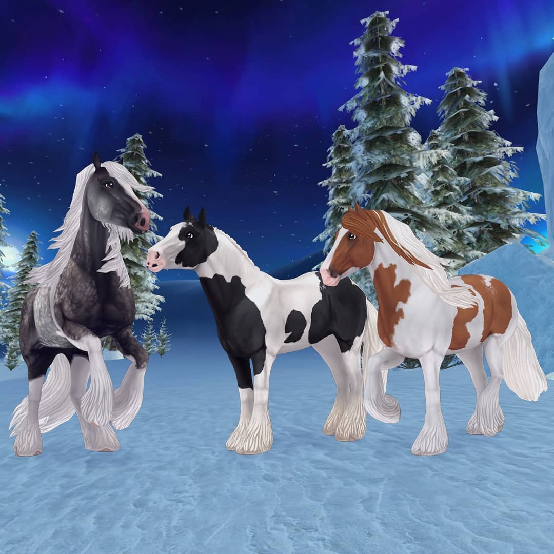 Ирландский коб | Star Stable Online вики | Fandom