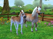 Переливчато-белая масть (Star Stable Horses)