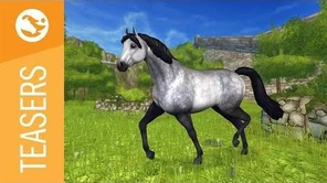 Star_Stable_Teasers_-_The_Connemara