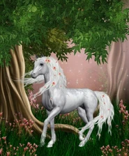 Klicka på bilden för att gå till starstable