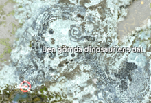 Dino