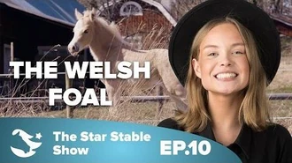 The_Welsh_Foal_-_The_Star_Stable_Show_-2.10