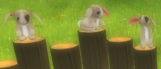 PXStudioRuntimeMMO-2013-02- (2)