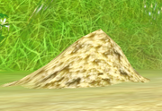 Salt