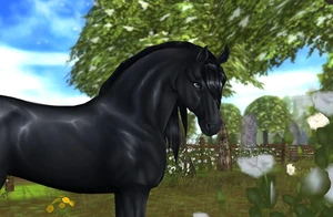 Officiell teaserbild från SSO's nyhetssida på en premium frieserhäst.