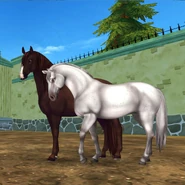 D3xuvpAXoAAmD79.jpg (125 kbyte)