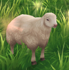 StarStable 2020-03-08 14-35-27.png