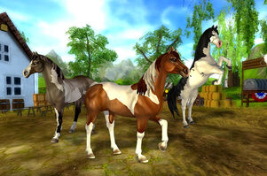 Painthorse