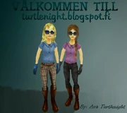 turtlenight.blogspot