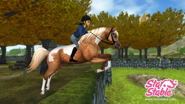 PintabianJumpPinkLogo