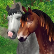 EJLJibjW4AMeO8Y.jpg (143 kbyte)