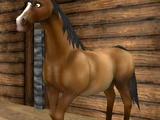 Donhäst