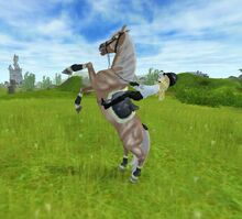 PXStudioRuntimeMMO 2015-04-17 10-46-48-064.jpg