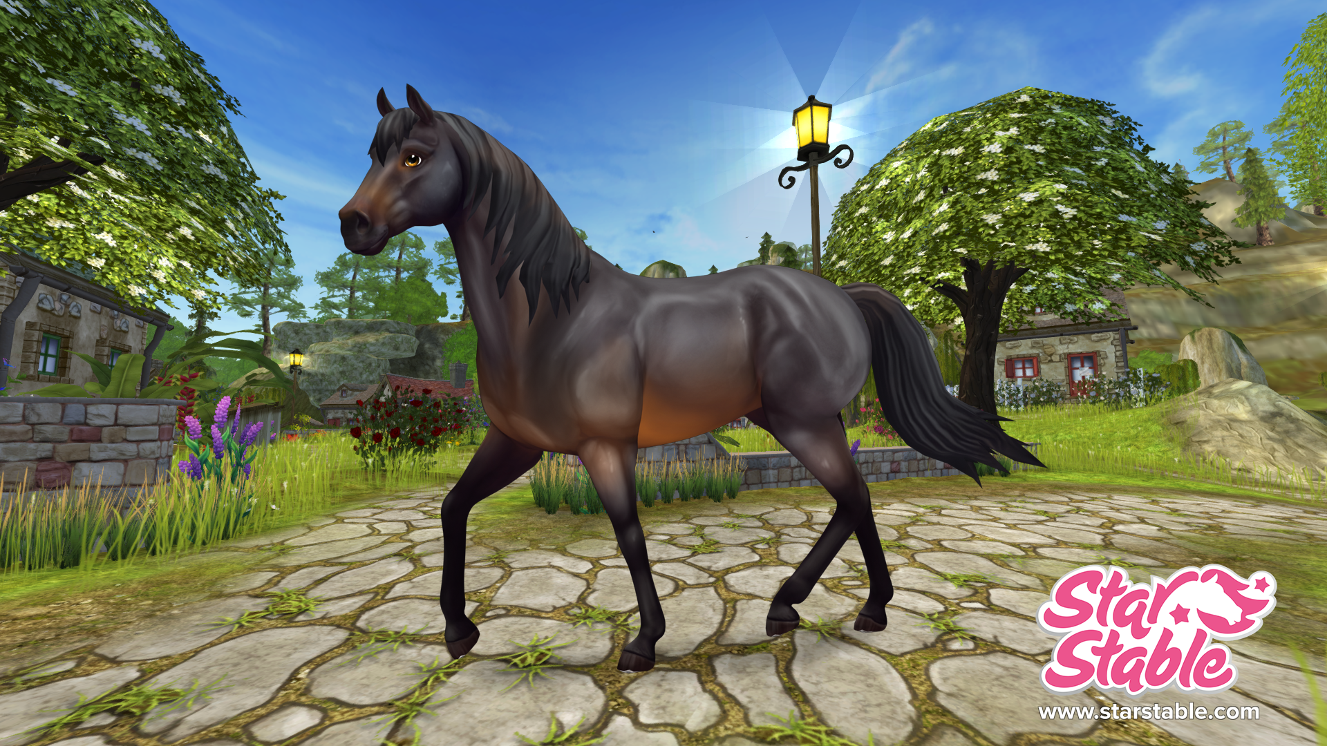 Star stable Ахалтекинская лошадь