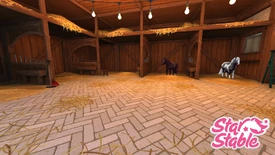 StarStable 2019-10-19 10-53-27