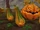 Levande pumpor