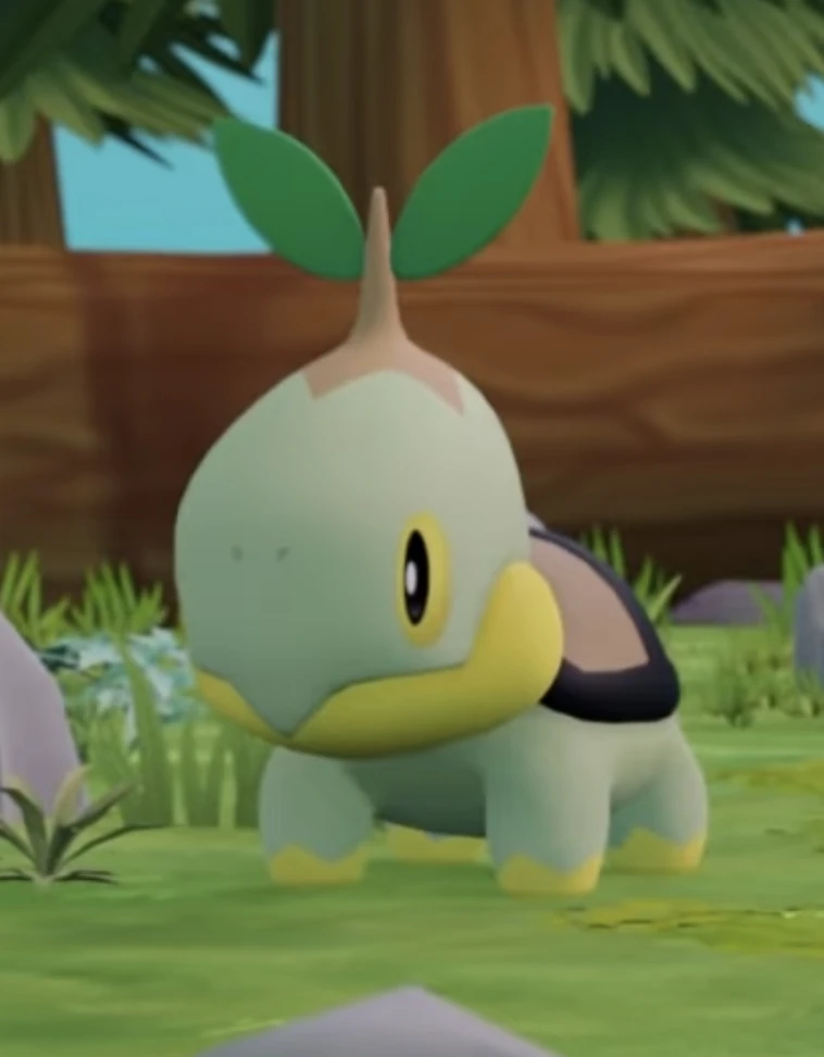 Turtwig Starter Squad Wikia Fandom Turtwig Starter Squad Wikia Fandom
