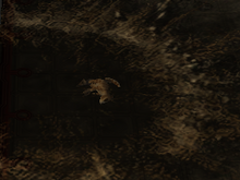 ByeByeCat.png