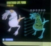Ornithoid lifeform