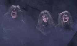 The three illusory witches.