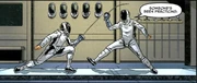 DeSoto & Picard fencing