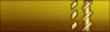 Sleeve rank insignia.