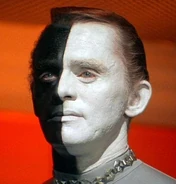 Bele.jpg (30 KB) Bele.