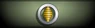 Sleeve insignia.
