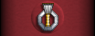 Sleeve insignia.