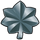 Uniform rank pin.