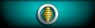 Sleeve insignia.