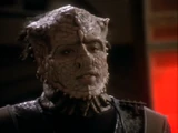 The Jem'Hadar
