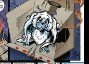 A hybor named Kiffis.jpg (234 KB) The pet hybor Kiffis.