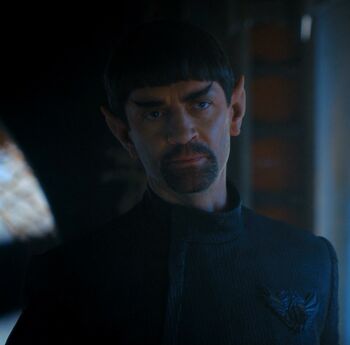 Mirror Sarek