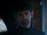 Sarek (mirror)