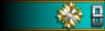 Shoulder insignia.