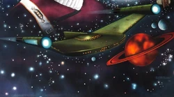 The Romulan bird-of-prey.